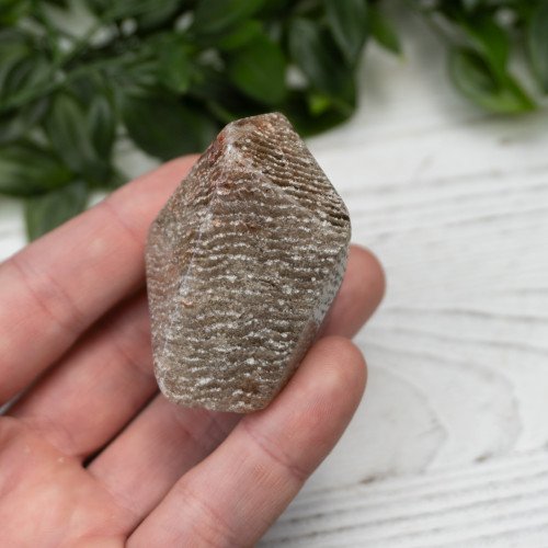 Garden Quartz Polished #2
