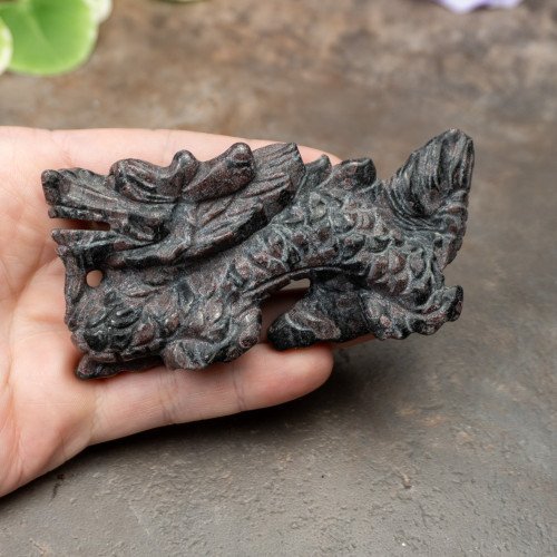Garnet in Biotite Dragon #1