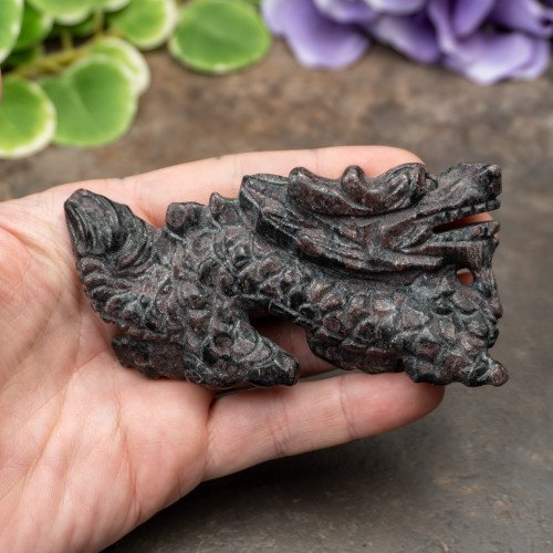 Garnet in Biotite Dragon #1