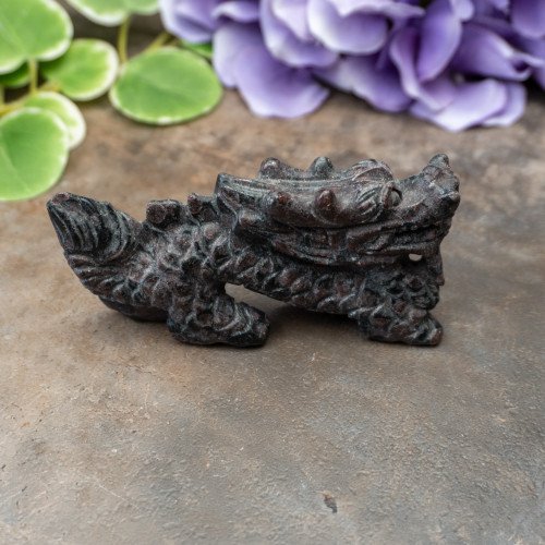 Garnet in Biotite Dragon #1