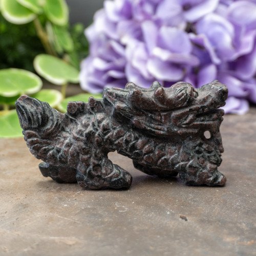 Garnet in Biotite Dragon #1