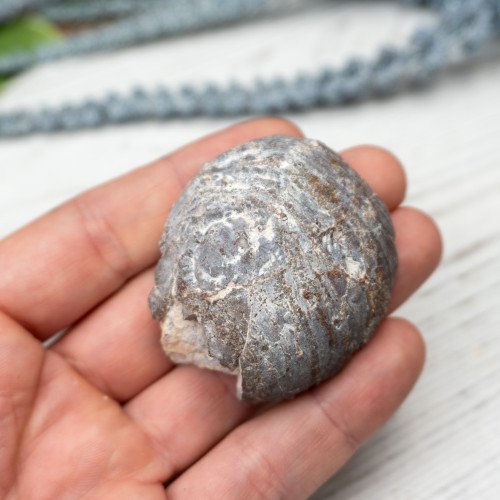 Blue Dugway Geode #2