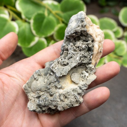 Calcite Clam #3
