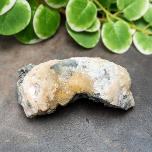 Calcite Clam #3