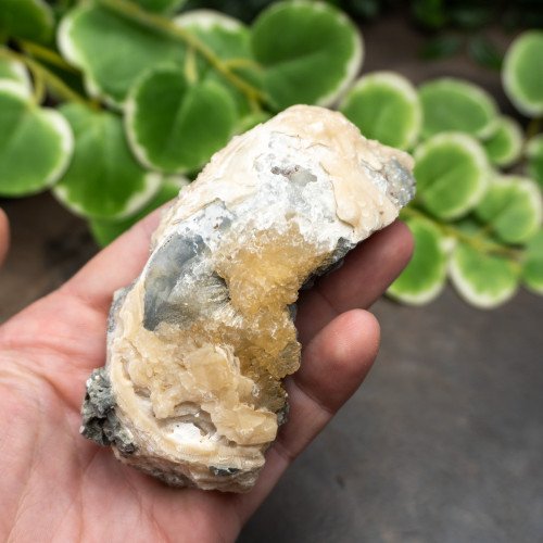 Calcite Clam #3