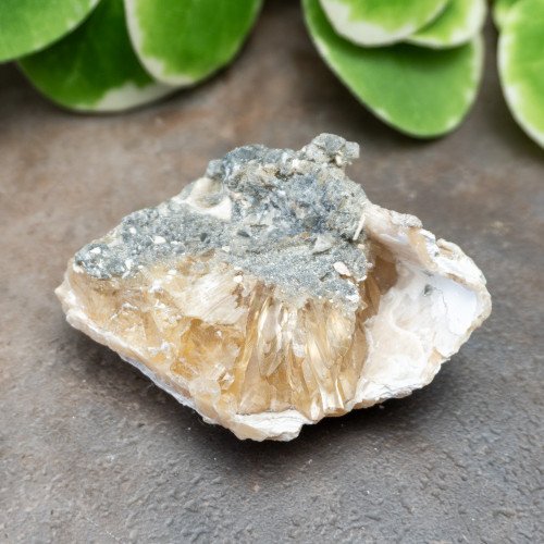 Calcite Clam #2