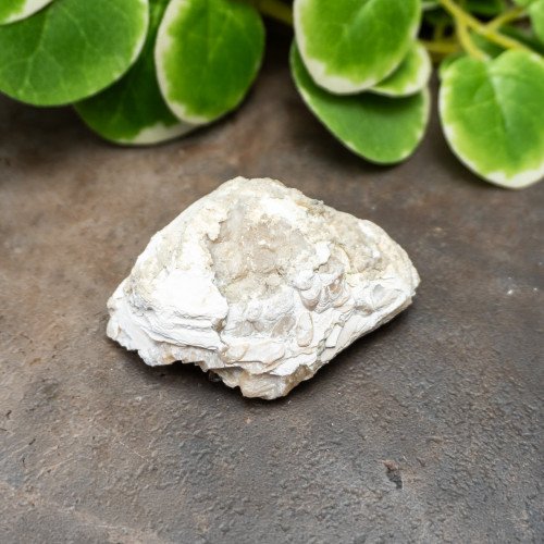 Calcite Clam #2