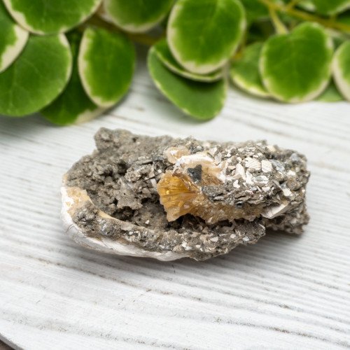 Calcite Clam #1