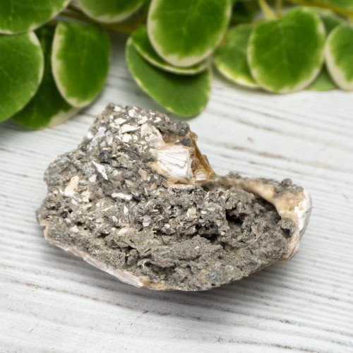 Calcite Clam #1