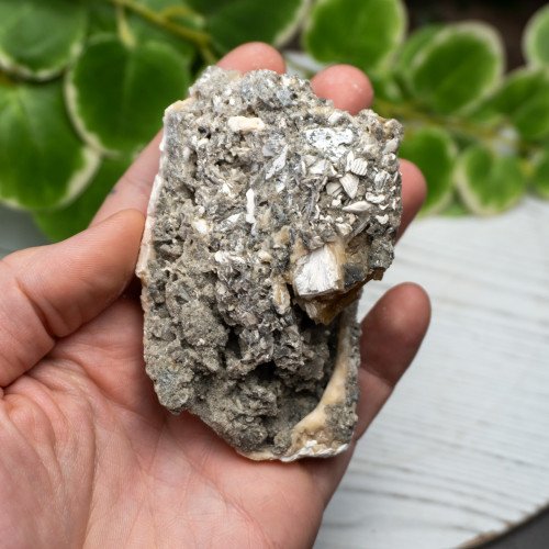 Calcite Clam #1