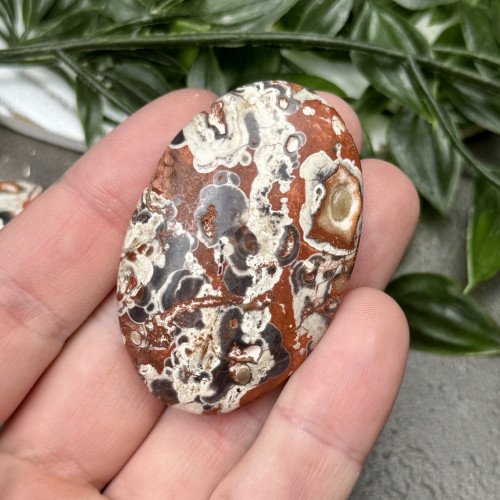Money Agate Palmstone