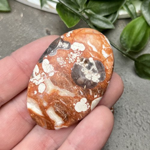 Money Agate Palmstone