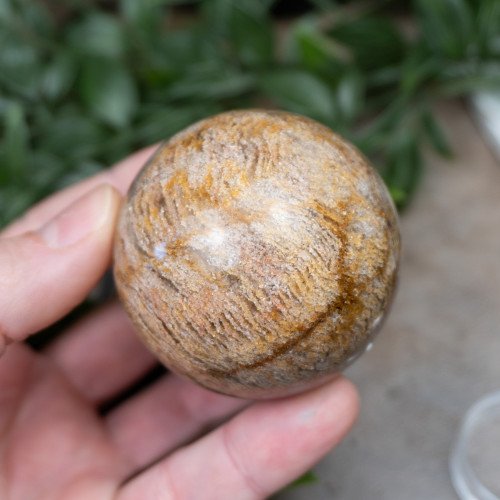 Garden Quartz Sphere #6
