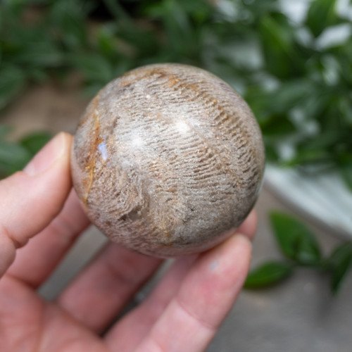 Garden Quartz Sphere #5