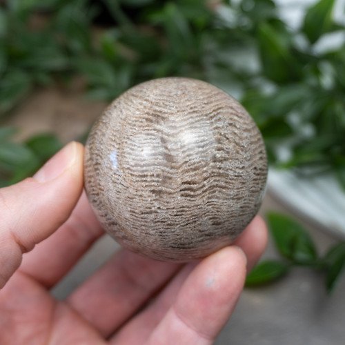 Garden Quartz Sphere #5