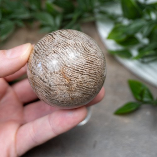Garden Quartz Sphere #4