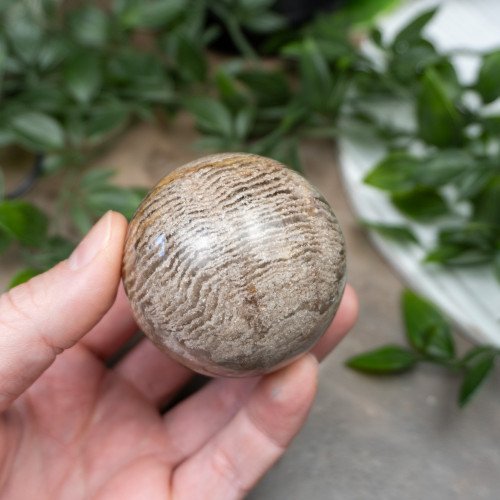 Garden Quartz Sphere #1