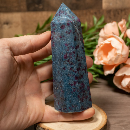 Large Ruby in Kyanite Tower