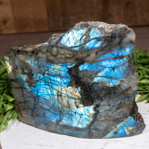 Large Half Polished Labradorite #2