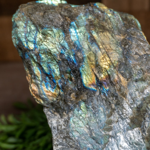 Large Half Polished Labradorite #1