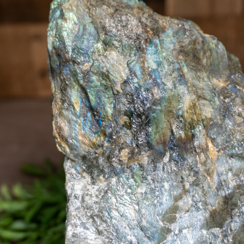 Large Half Polished Labradorite #1