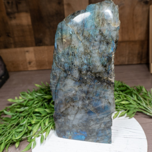 Large Half Polished Labradorite #1