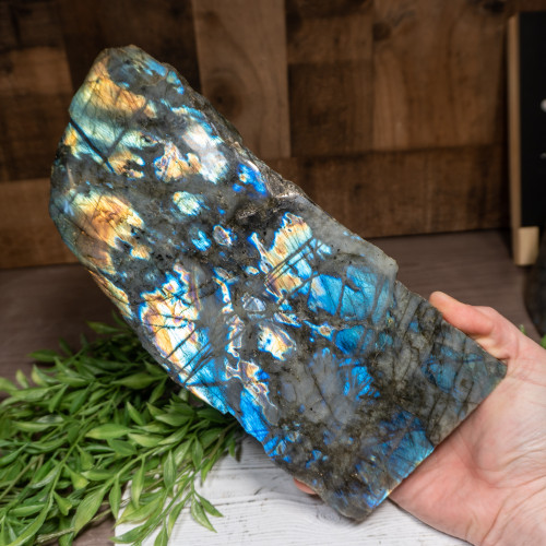 Large Half Polished Labradorite #1