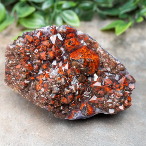 Alien Amethyst #12