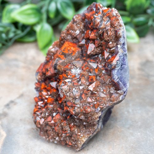 Alien Amethyst #12
