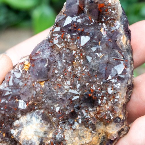 Alien Amethyst #10