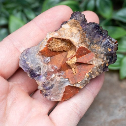 Alien Amethyst #9