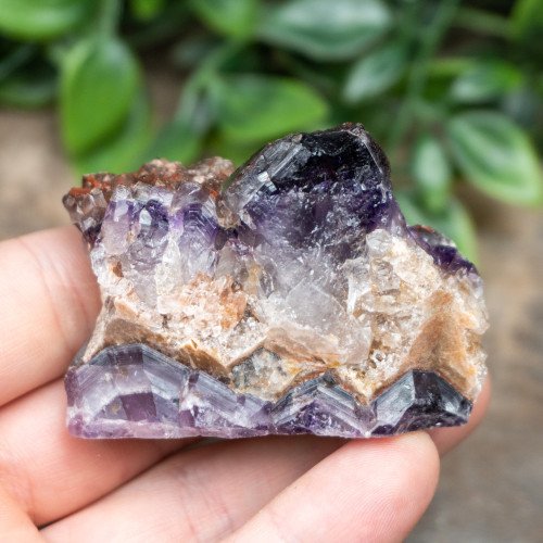 Alien Amethyst #8