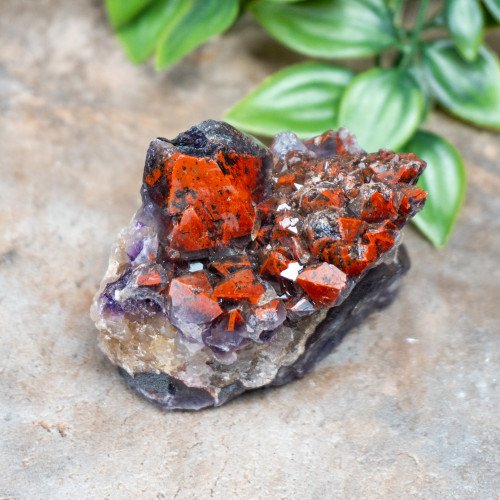 Alien Amethyst #8