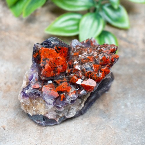 Alien Amethyst #8