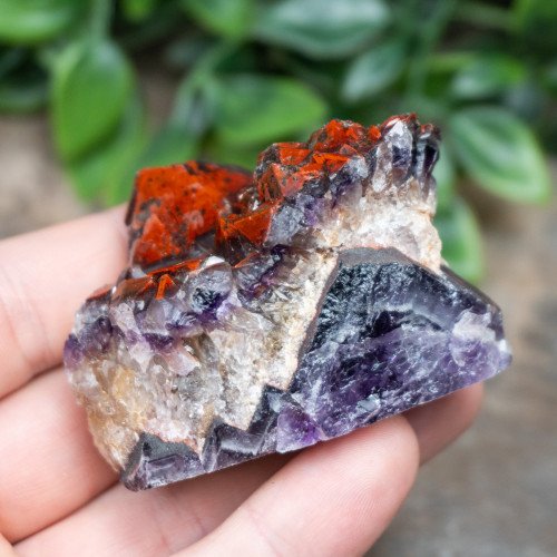 Alien Amethyst #8