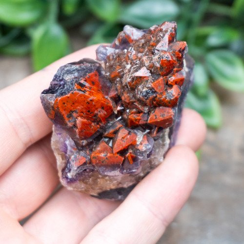 Alien Amethyst #8