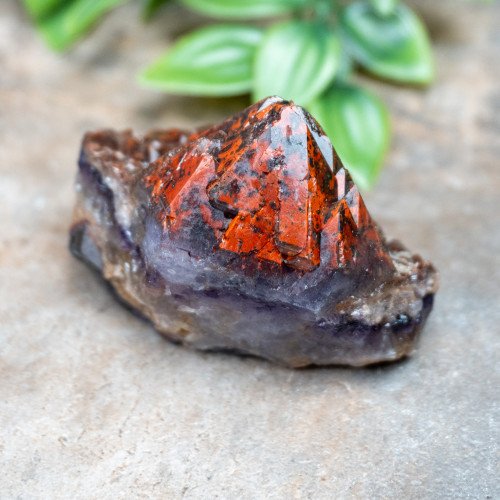 Alien Amethyst #7