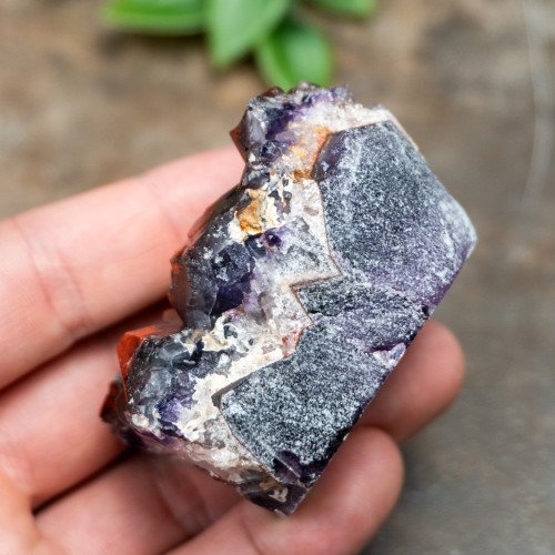 Alien Amethyst #6