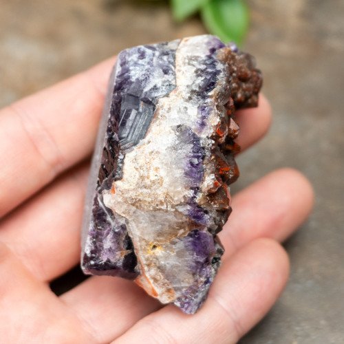 Alien Amethyst #6