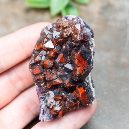 Alien Amethyst #6