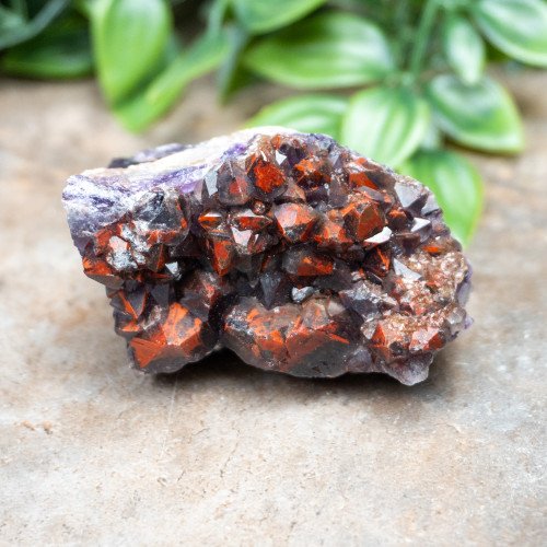 Alien Amethyst #6