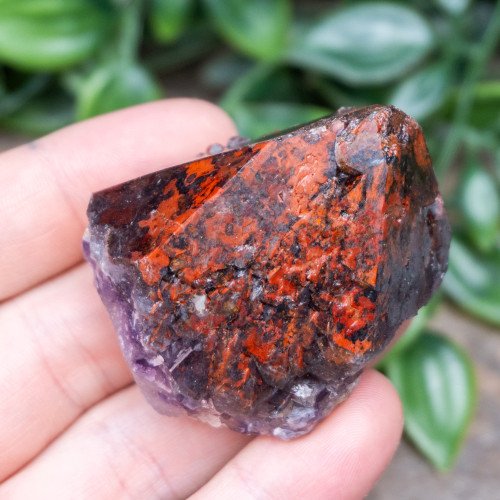 Alien Amethyst #5