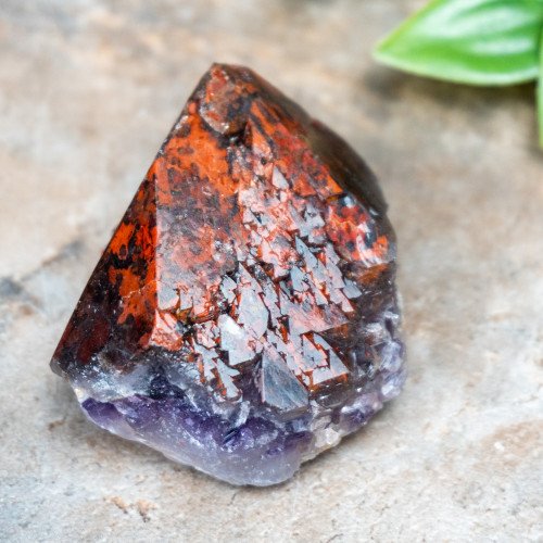 Alien Amethyst #5
