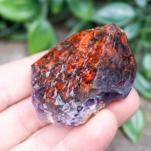 Alien Amethyst #5