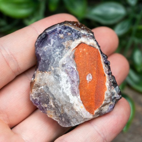 Alien Amethyst #5