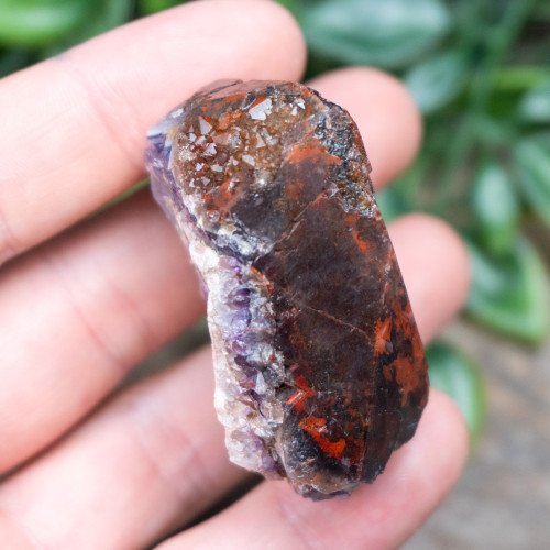 Alien Amethyst #5