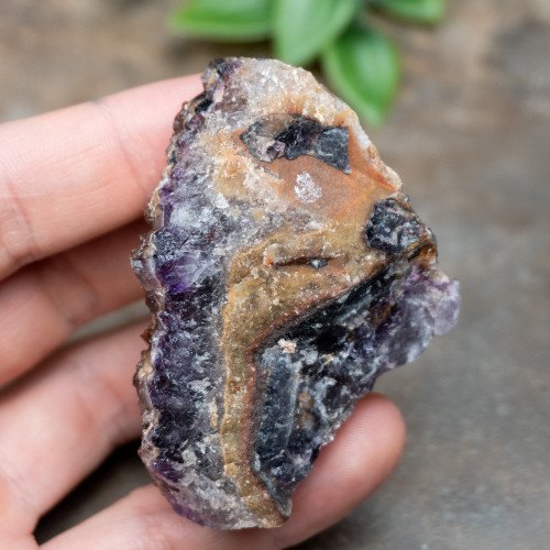 Alien Amethyst #4