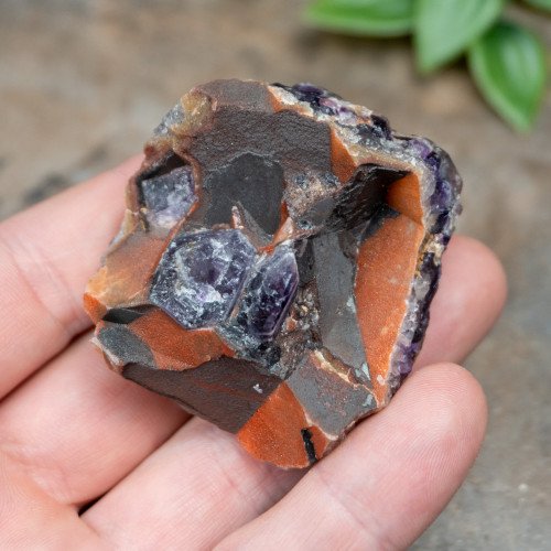 Alien Amethyst #2