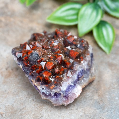 Alien Amethyst #2