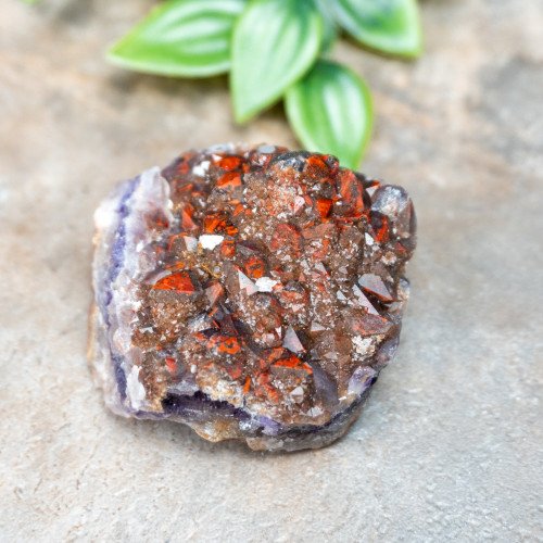 Alien Amethyst #2